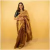 Antique Gold Dyed Tissue Saree - AmbarTaara Designs