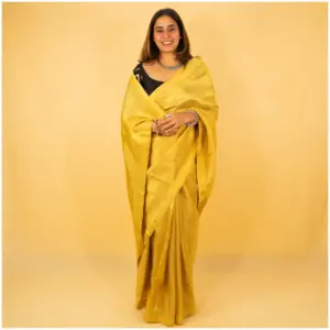 Gold Dyed Tissue Saree - AmbarTaara Designs